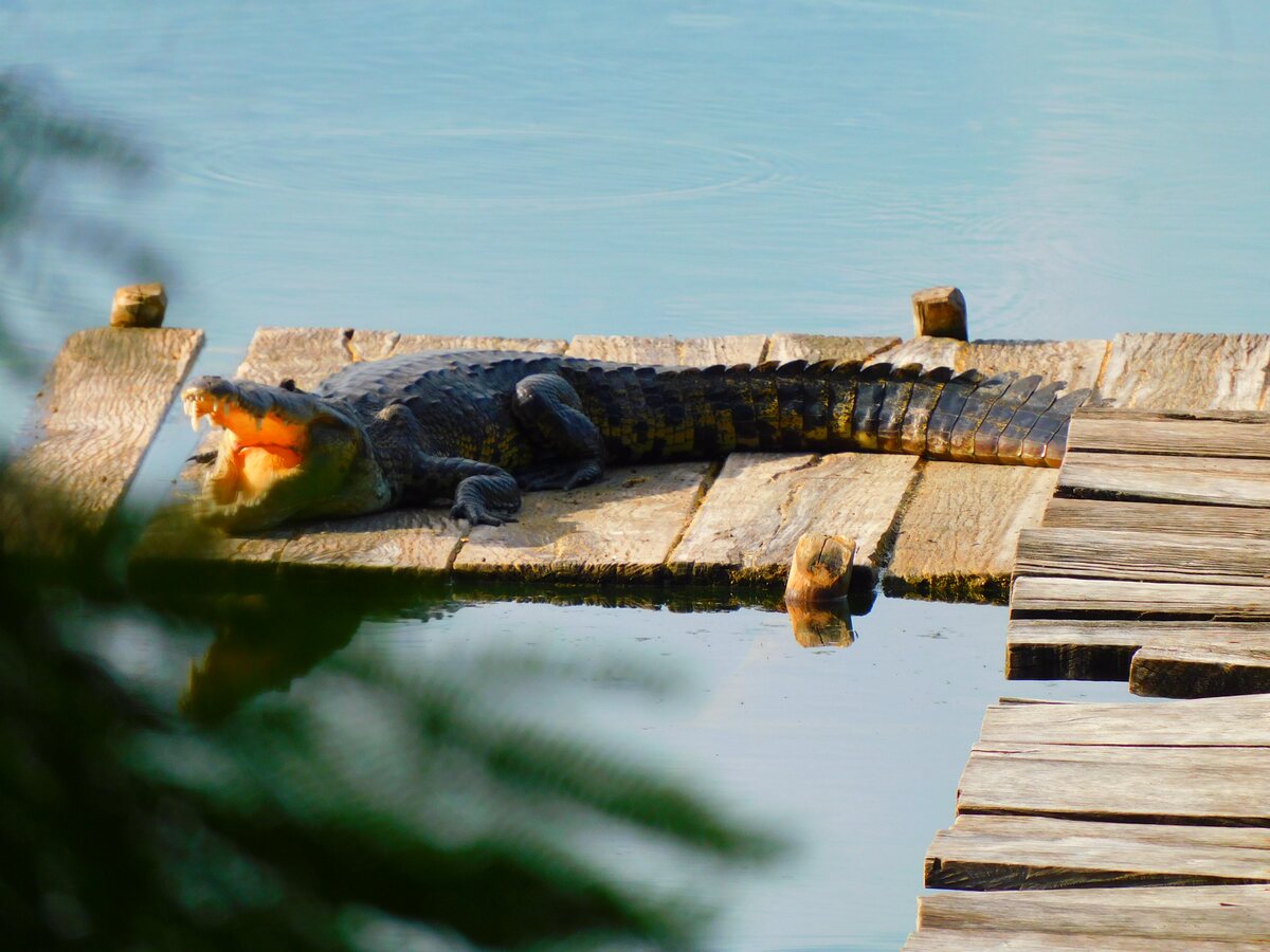 Parque Nacional El Rosario