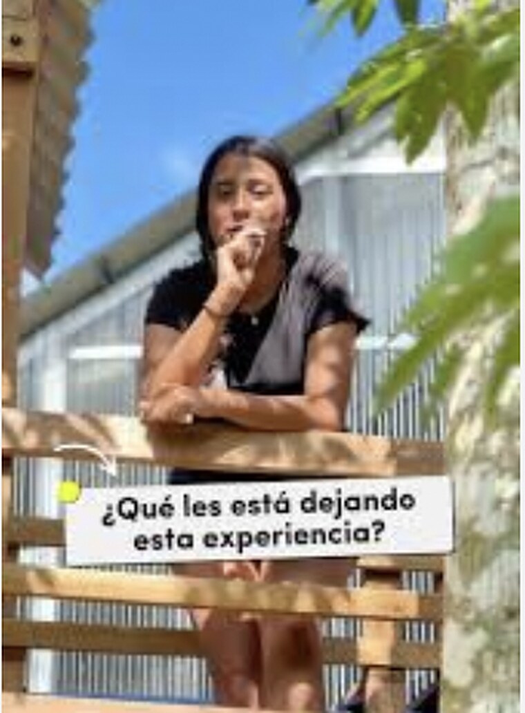 Publicación de ARCAS en Instagram